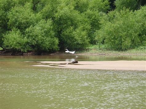 Altamaha River – Love The Outdoors