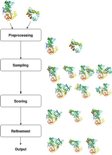 A General Pipeline In Proteinprotein Docking Here Sampling And