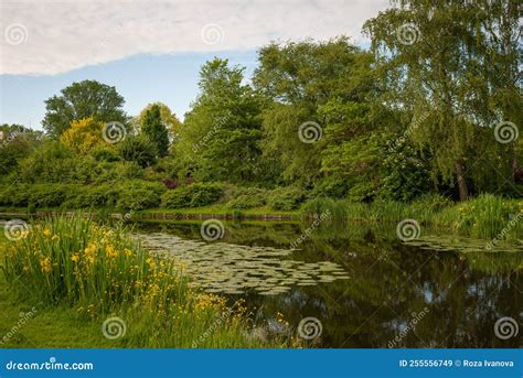 Beautiful Landscape Of Park Trees Located Along The Bank Of The Canal