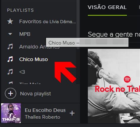 Como Organizar Suas Playlists No Spotify