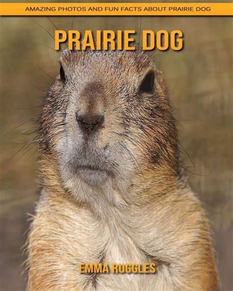 Prairie Dog Amazing Photos And Fun Facts About Prairie Dog By Emma