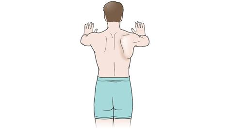 Scapula Push Ups Muscles Worked How To Do And Benefits