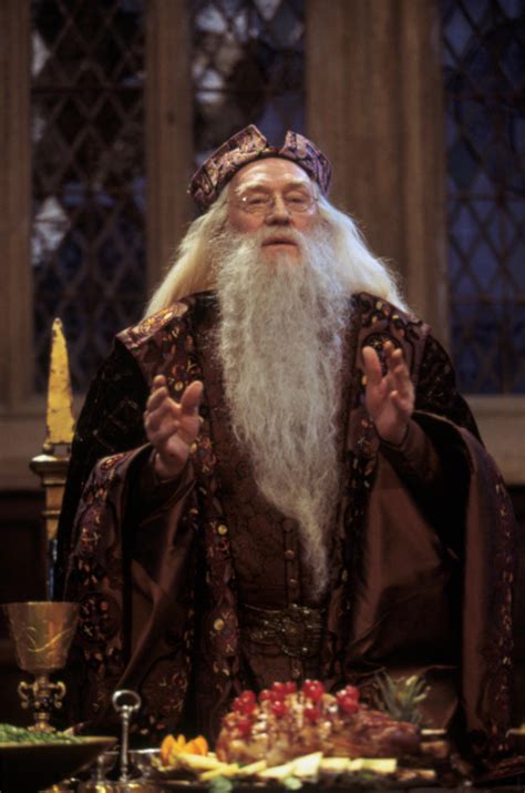 Dumbledore At The Great Hall Feast — Harry Potter Fan Zone