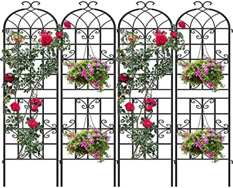 Amazon Zhongma Pack Metal Garden Trellises For Climbing Plants