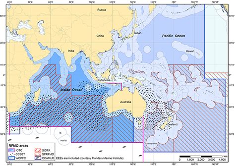 International Fishery Management Arrangements Daff