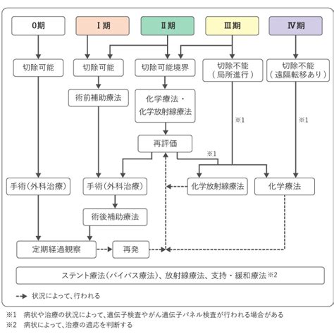 膵臓がん 治療： 国立がん研究センター がん情報サービス 一般の方へ