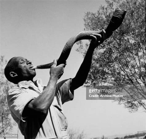 Kudu Horn Instrument Photos and Premium High Res Pictures - Getty Images