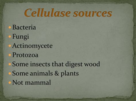 PPT - Cellulase enzyme PowerPoint Presentation, free download - ID:5735640