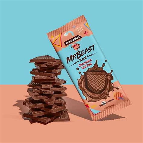 Feastables MrBeast Sea Salt Dark Chocolate Bar 2 1 Oz 60g 1 Bar