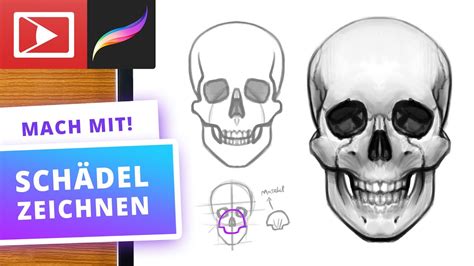 Sch Del Digital Zeichnen Procreate Tutorial Youtube