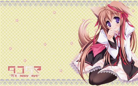 Neko Girl Wallpaper Wallpapersafari