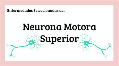 Sindrome De Neurona Motora Ppt Descarga Gratuita