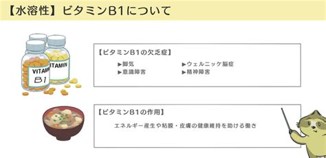 【臨床医学】図解イラストとゴロ合わせで「ビタミン欠乏症・過剰症」徹底解説｜森元塾 国家試験対策