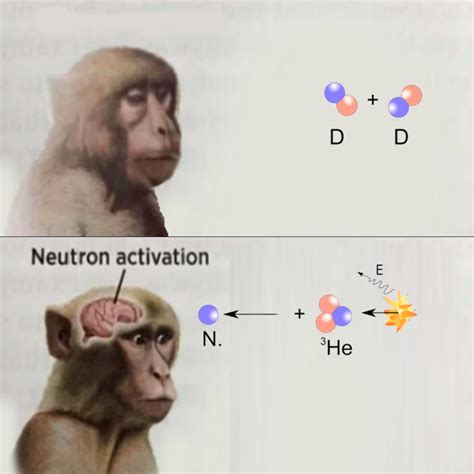 Neutron Activation Neuron Activation Know Your Meme