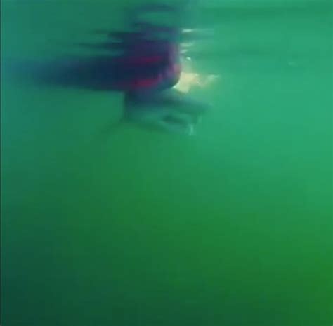 Kayakers Deadliest Catch Heart Stopping Moment Shark Gets Caught On