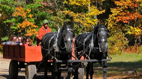 Wagon Rides Charmingfare Farm