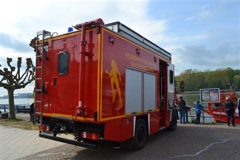 Wiesbadenaktuell Anschwimmen Der Taucher Im Rhein Bei Wiesbaden Am