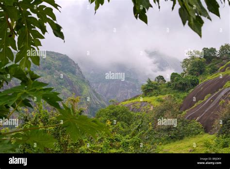 A mountain rain forest, Idanre, Ondo state, Nigeria Stock Photo - Alamy