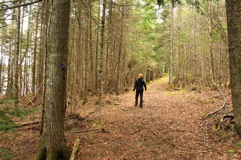 Hiking NB Eagle Trail Mactaquac Provincial Park