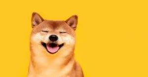 Mengenal Koin Anjing Shiba Inu SEIDE