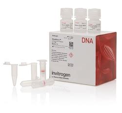 PureLink Genomic Plant DNA Purification Kit