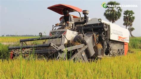 Incredible Harvester Working In Muddy Rice Fields Cool Powerful