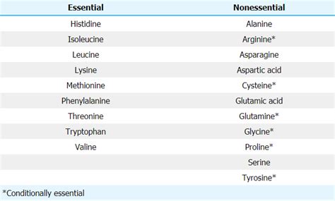 Solved Which Group Of Amino Acids Can Be Synthesized By The Body And