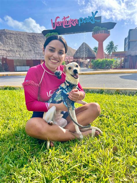 Venturapark Abrir Sus Puertas Para Mascotas Durante Chapuz N Canino