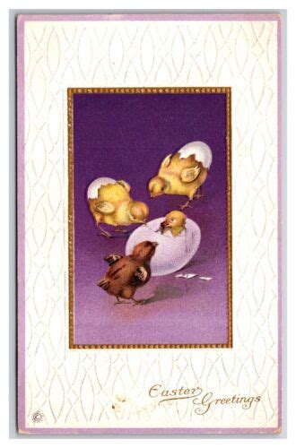 Fantasy Easter Greetings Baby Chicks Eggs Embossed DB Postcard H29 EBay