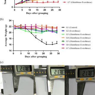 A The Tumor Volume Changes Over Days Of Administration B The Body