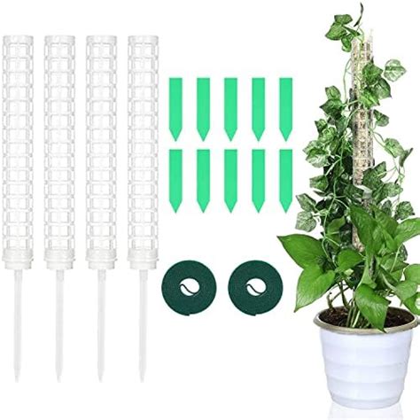 Darenyi Pi Ces Support Tuteurs Pour Plantes Grimpantes Plastique