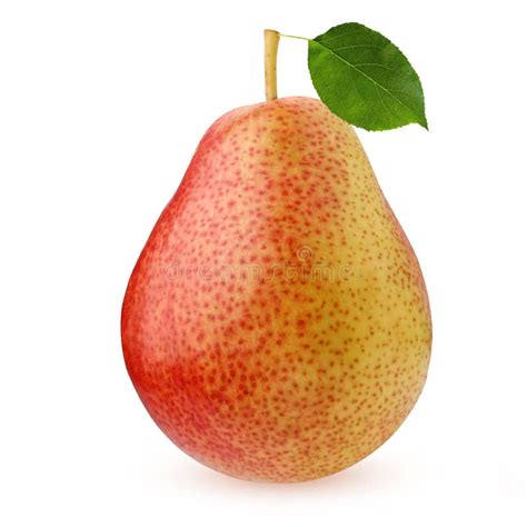 Pear Isolated On White Background Whole Fruit Stock Photo Image Of