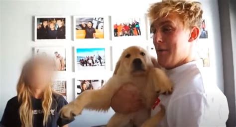 Jake Paul Seemingly Shades Ex Girlfriend Erika Costell In Vlog J 14