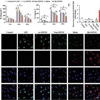 RhGFFYE Attenuates LPSinduced Inflammation In Macrophages A Effect