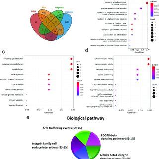 Functional Enrichment Analysis Of Immune Key Genes A The Venn