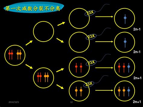 Ppt 主讲人：郭奕斌 中山医学院医学遗传学教研室 Powerpoint Presentation Id5182793