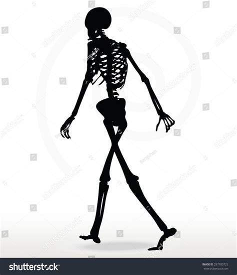 Vector Image Skeleton Silhouette Walk Pose Stock Vector Royalty Free