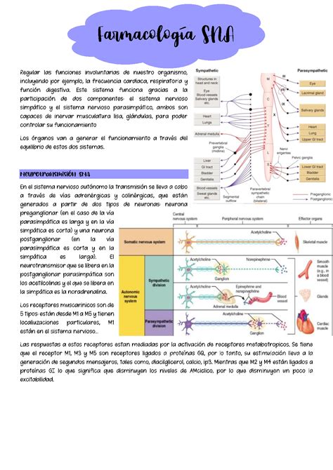 SOLUTION Farmacolog A Sna Studypool