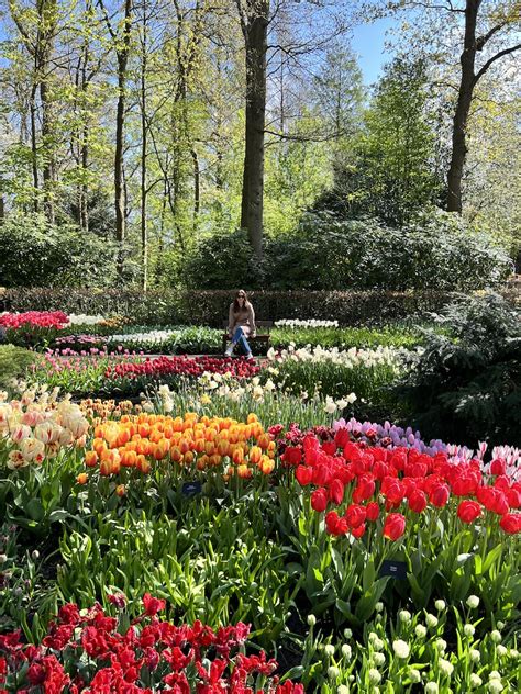 Visiting Keukenhof Gardens, Holland - Cathedrals & Cafes Blog