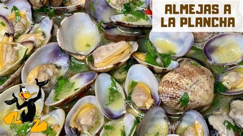 Receta De Almejas A La Plancha Actualizado Noviembre