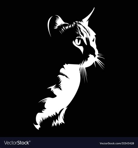 Silhouette cat on black darkness background Vector Image