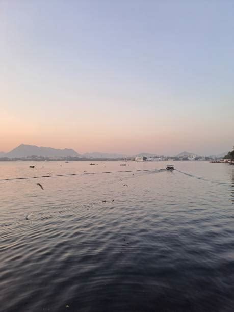 780+ Lake Pichola Sunset Stock Photos, Pictures & Royalty-Free Images ...