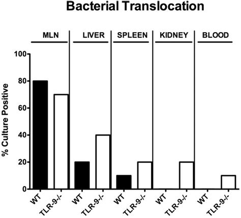 Bacterial Translocation Following Ileitis Induction Relative