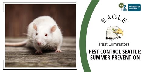 Pest Control Seattle Keeping Pests Away This Summer Seattle