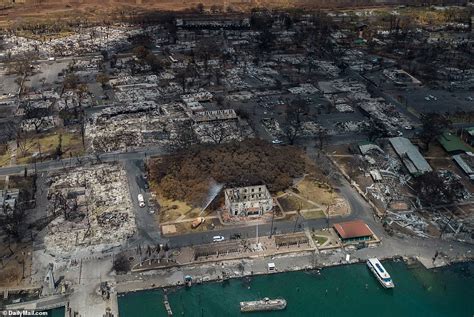 EXCLUSIVE Heartbreaking Aerial Photos Show Lone Firefighter Walking