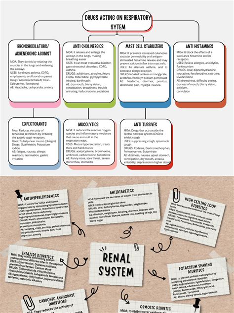 Concept Map | PDF | Drugs | Clinical Medicine