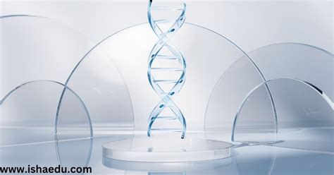 Decoding The Blueprint Of Life: DNA, Scientists, And The Wonders Of ...