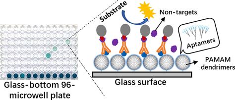 Applications and the Use of ELISA - MyBioSource Learning Center