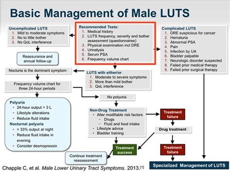 Initial Evaluation And Treatment Of Male Lower Urinary Tract Symptoms