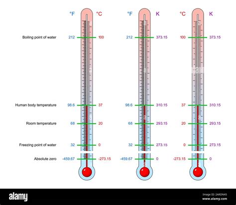 Termómetros Con Valores Básicos De Temperatura Con La División De Escala En Unidades De